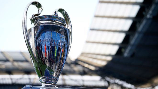 青島海牛的 青島海牛的